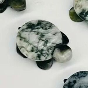New! Natural Crystal Double Color Turtle in Moss Agate